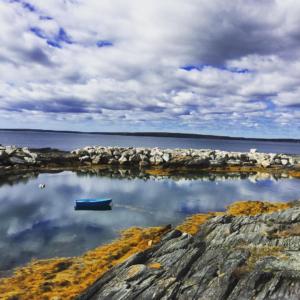 Climate Change Adaptation